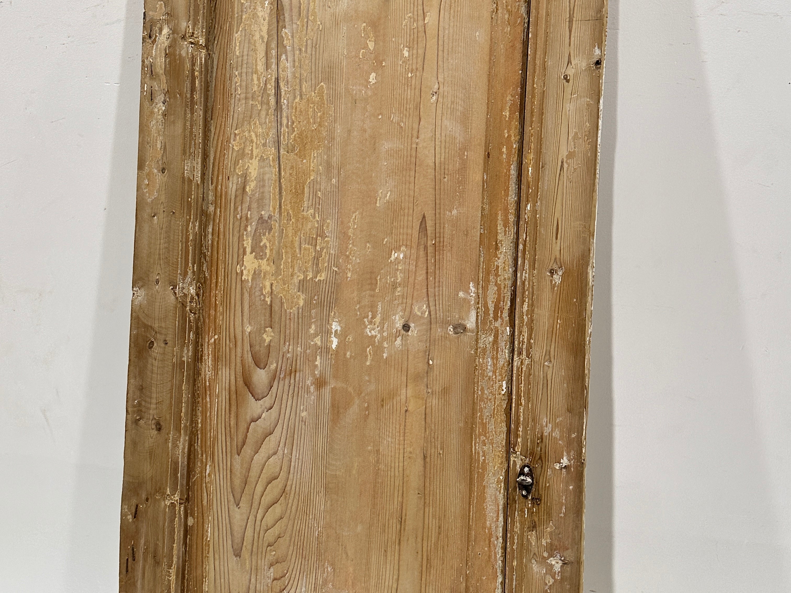 Solid Door (Raised Panel) 27.5in x 84.5in x 1.75in #459 - Saltaire Antiques