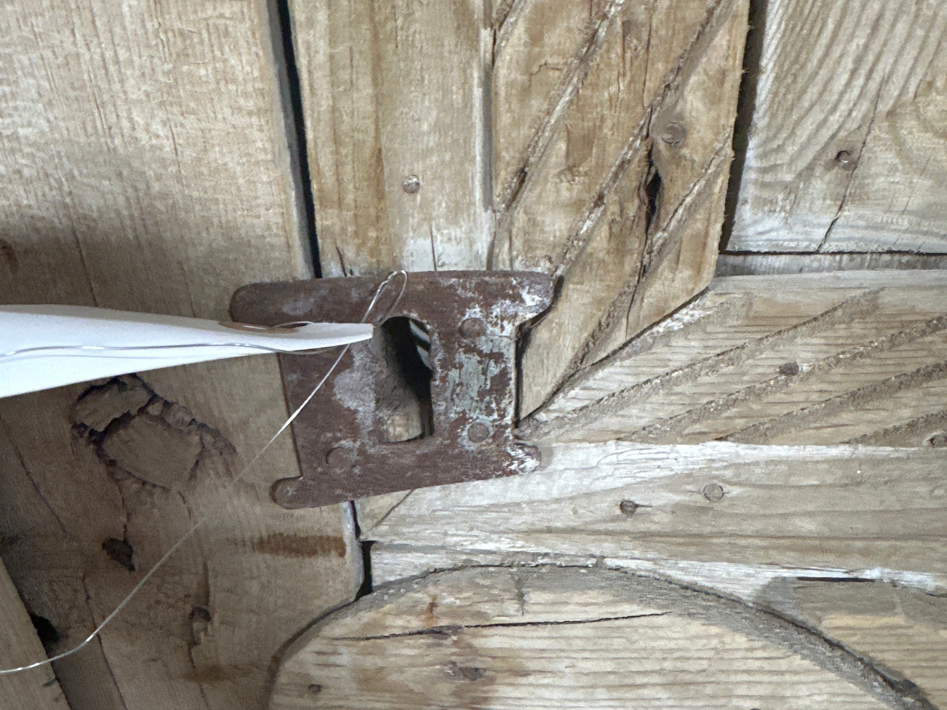 Solid Door (Carved) 51in x 90in x 1.75in #1140 - Saltaire Antiques