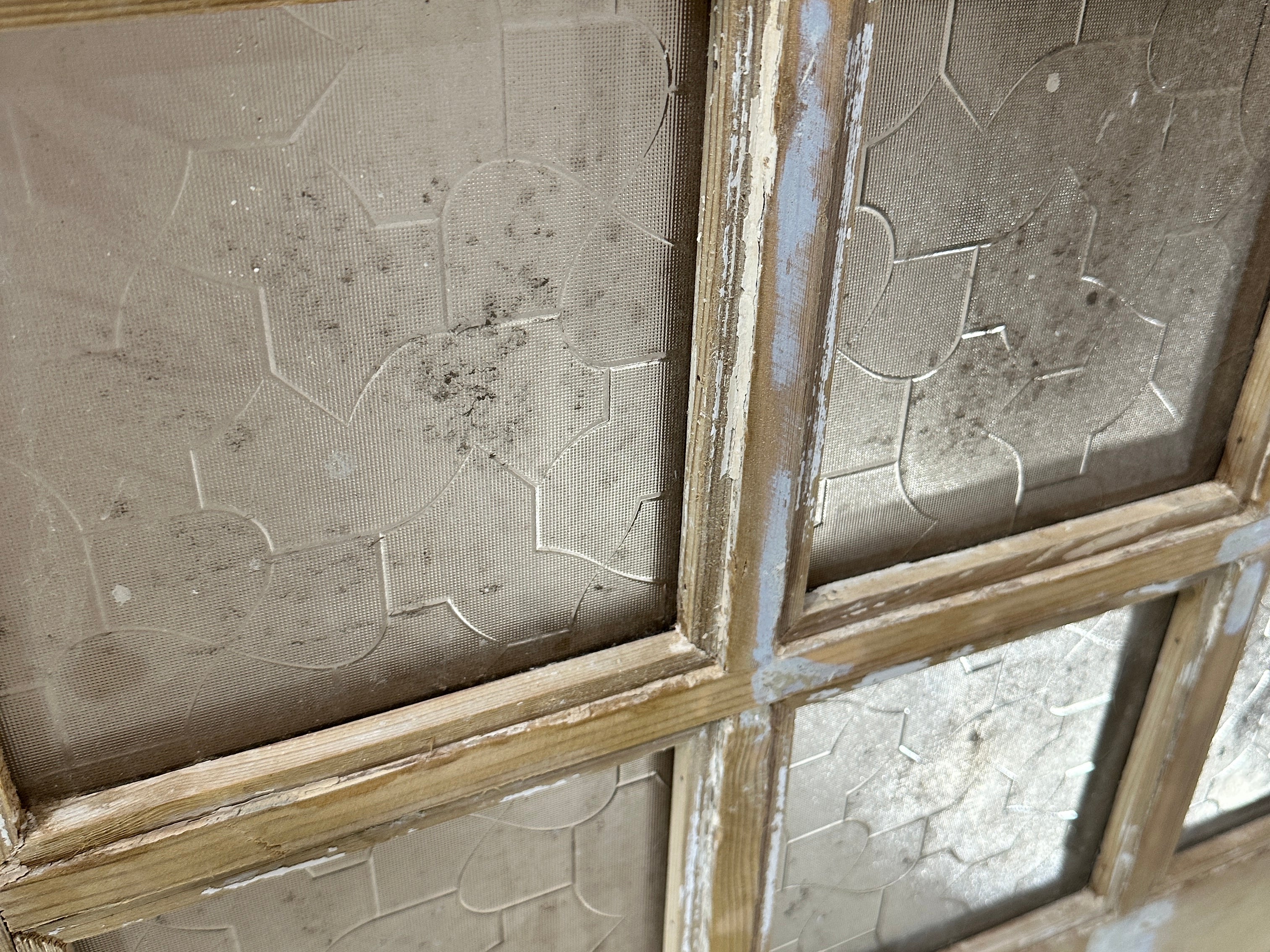 Doors with Lites 31in x 96in x 1.75in #483 - Saltaire Antiques